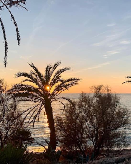 Coup De Coeur A Sanary Sur Mer Exterior foto